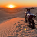 avatar 🍷ShyEmpress[FG]🍷