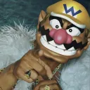 xenodegregio