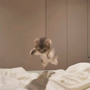 han_0518