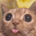 tsurata