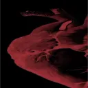 bad_564
