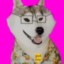 baumetto