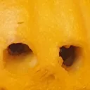 mygaymrbob