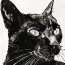 dudewheresmacat