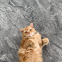 s0remmm#4071's avatar