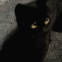 avatar 𝒜𝓁𝒶𝓈𝓀𝒶