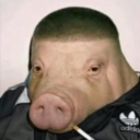 hannibal_24#2747's avatar