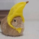 avatar 🍌  𝄢     yami   🜼