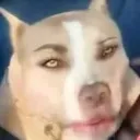 thzinxl_