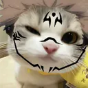 buster_nut2409