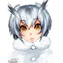 hooteggs3306 avatar