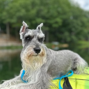 chappal#7560's avatar