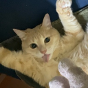 avatar Luciano Chacón