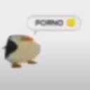 gusipussy_d