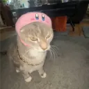 dogepower1