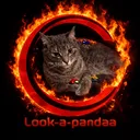 panda_jv