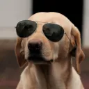 mrmekhiguy