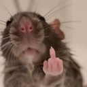 avatar Aurealitätsverlust