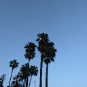 va_rx