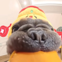 avatar ✟|Donnicus|✟