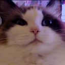 avatar 𝑳𝒖𝒎𝒊𝒏𝒂