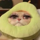 desdabitch