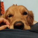 avatar !   Lakshay   !