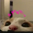 jea_69