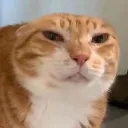 spooglytuff