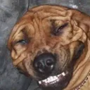elcartuchotv