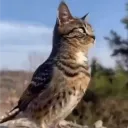 mleko41