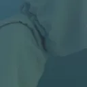 sen_14.