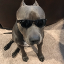 riceandbeams#4274's avatar