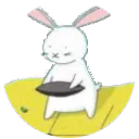 bunnygo
