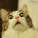 sasmphone245's Avatar