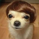 pupper0n1#7839's avatar