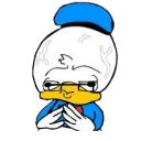 kitducky