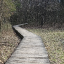 avatar ♡Adelayde♡