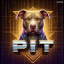 pitman1337