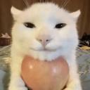 samsungsmartfridge2709