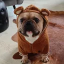 thefirstdefier