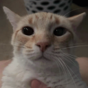 avatar TiredAzAlways