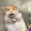 notjustsoup's Avatar