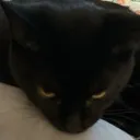 drifterb