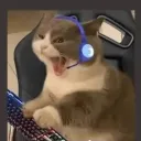 thecaptaindipdip