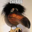 maical_jecsan