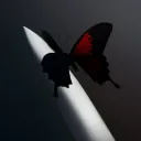 _akash85_