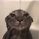 moonolyte19