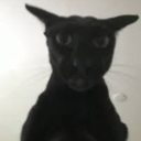 avatar Johnny-B°○ii