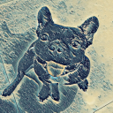 mamebull